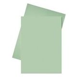 Esselte inlegmap | papier | A4 | groen | 250 stuks