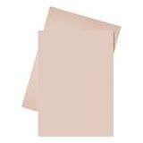 Esselte inlegmap | papier | A4 | roze | 250 stuks