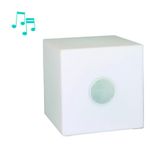Intergard Tuinverlichting lichtkubus Cube met speaker 20x20x20cm