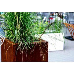 Intergard Cortenstaal plantenbak bloembak vierkant 80x80cm
