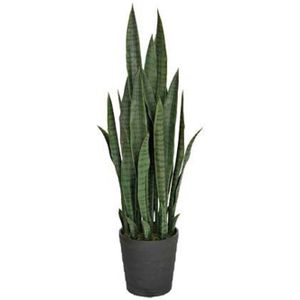Intergard Kunstplanten Sansevieria vrouwentong 105cm groen