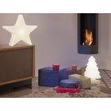 Intergard Kerstster Polaris 62cm