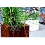 Intergard Cortenstaal plantenbak bloembak vierkant 50x50cm