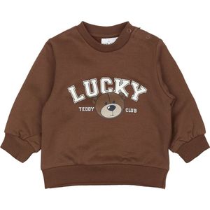 The New jongens sweater - Bruin