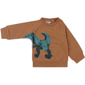 FLINQ jongens sweater - Camel