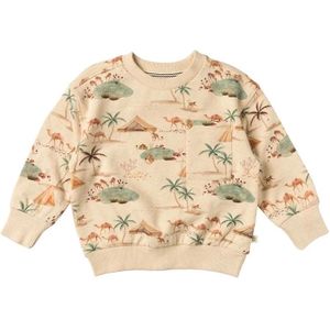 Your Wishes jongens sweater - Meerkleurig