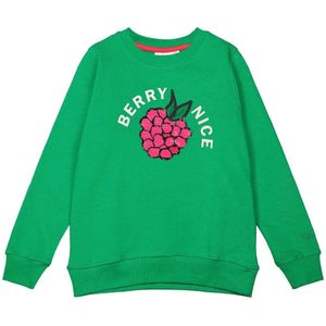 The New meisjes sweater - Groen