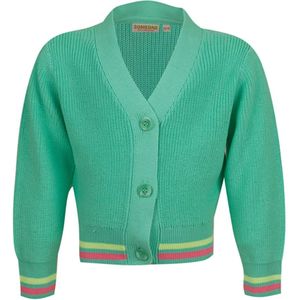 Someone meisjes vest - Mint