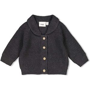 Feetje jongens vest - Antracite