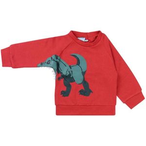 FLINQ jongens sweater - Licht rood