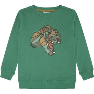 The New jongens sweater - Groen
