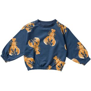 Your Wishes jongens sweater - Blauw