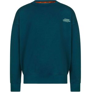 Ravagio jongens sweater - Petrol