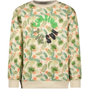 Like Flo Charlie Ray jongens sweater - Meerkleurig