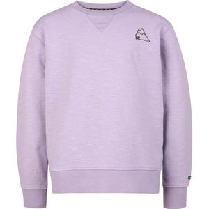 Blue Rebel jongens sweater - Paars