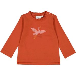 Feetje meisjes longsleeve - Brique