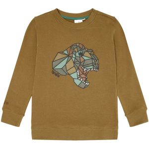 The New jongens sweater - Bruin