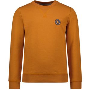 TYGO & vito jongens sweater - Bruin