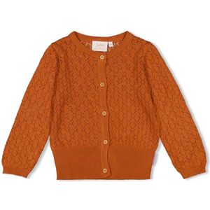 Jubel meisjes vest - Brique