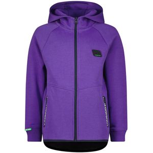 Vingino jongens vest - Paars