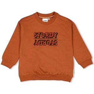 Sturdy jongens sweater - Bruin