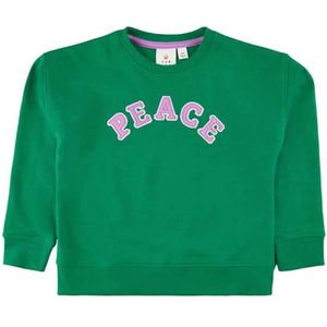 The New meisjes sweater - Groen