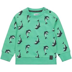 Dirkje jongens sweater - Groen