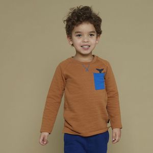 Sturdy jongens longsleeve - Bruin