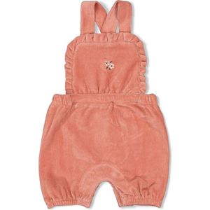 Meisjes Tuinbroeken kopen? ✔️ Vergelijk bespaar!