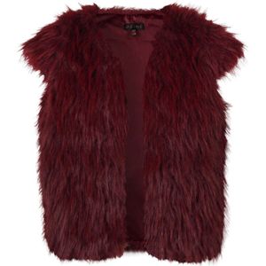D-zine - Gilet - Donker Rood - Voor Meisjes