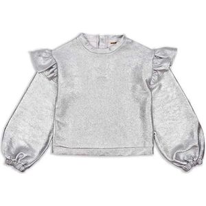 Ammehoela meisjes sweater - Zilver