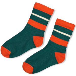 Sturdy jongens sokken - Groen