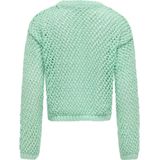 Trui - Gaatjespatroon - Zacht Breimateriaal - Casual Fit