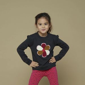 Jubel - Shine Bright - Sweater - Antracite - Voor Meisjes