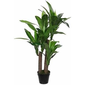 Mica Decorations Dracaena Kunstplant H110 cm