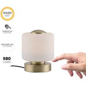 Paul Neuhaus Bota Tafellamp Matt Messing 5Watt incl. Dimmer