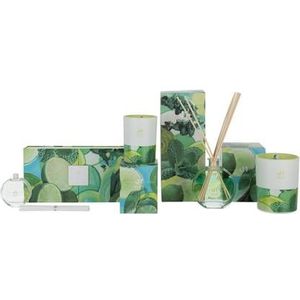 J-Line geurkaars Mojito - S - 45H