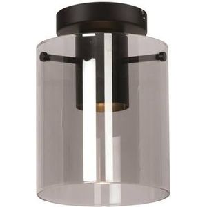 Freelight Freelight Interno Plafondlamp Zwart & Smoke Glas