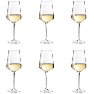 Leonardo Puccini witte wijnglazen - 560 ml - hoogte 24 cm - 6 stuks
