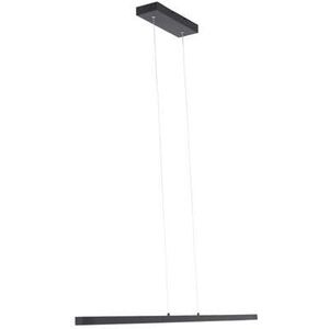 Mexlite Hanglamp Danske 2745ZW Zwart