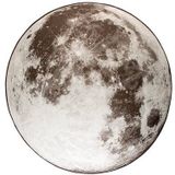 Zuiver Moon Vloerkleed Ø 200 cm - Grijs