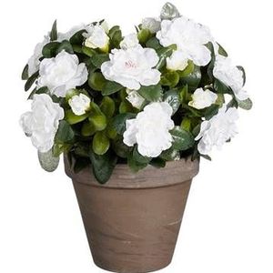 Mica Decorations Azalea Kunstplant - H31 x Ø26 cm - Wit