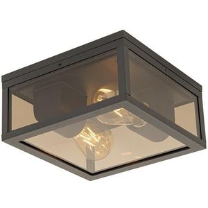 QAZQA charlois - Moderne Plafondlamp voor buiten - 2 lichts - L 24 cm - Brons - Buitenverlichting