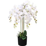 vidaXL-Kunstplant-met-pot-orchidee-75-cm-wit