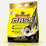 Mammoth Mass | Interactive Nutrition | Cookies & Cream | 2,27 kg (7 shakes)