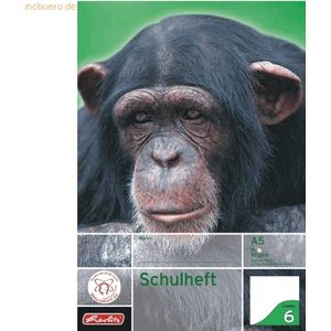 10 x Herlitz Schulheft A5 16 Blatt Lineatur 06