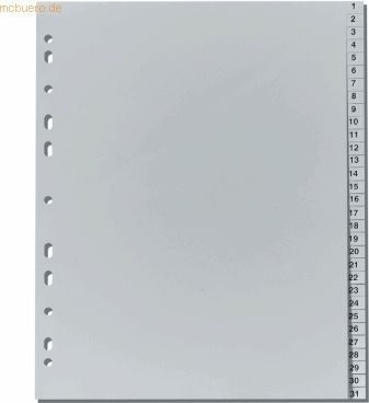 Falken Register A4 Überbreite PP grau 1-31
