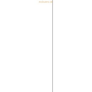 10 x Heyda Plakatkarton 380g/qm 48x68cm schwarz
