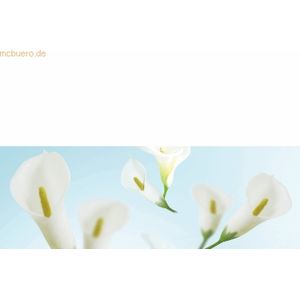 5 x Ludwig Bähr Fotokarton 300g/qm A4 VE=5 Blatt Flora Calla