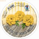 Ludwig Bähr Intensive Faltblätter 'uni' Durchmesser 12cm 65g/qm VE=100